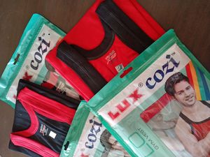 Combo for Kristen -Brand New Lux Cozi Inner 85cm + dog training pads+ painting