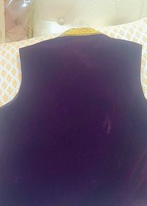 Purple Velvet Vest with Gold Embroidery