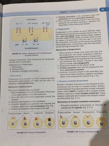 Medical Physiology - Eighth Edition