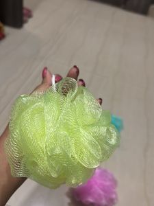 Pack Of 5 Luffa