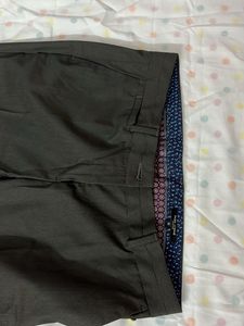 Dark Coffee Brown Unused Park Avenue Formal Pants