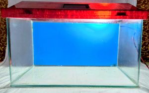 new fish tank aquarium With Blue Tube Light