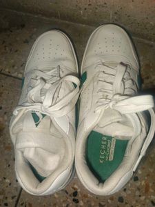 Original Sketchers