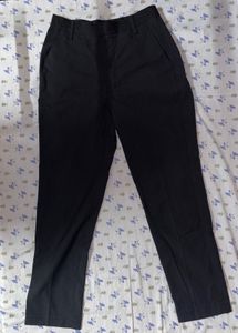 Tapered Pants