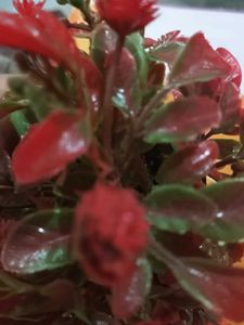 Small Artificial Potted Plant