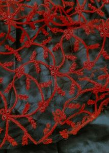 Ruby Night Black and Red Skirt♥️🖤