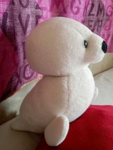 White Soft Pigeon Good Quality