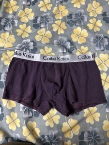 Boxer