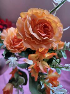 Orange Flower Bunch