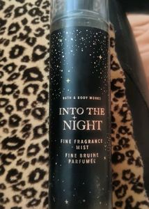 Into The Night Mist