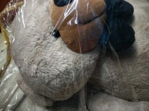Teddy Bear 🧸🧸🧸