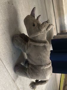 Teddy
