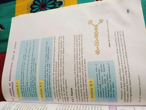 Class 10 Science Book