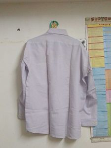 Men&#39;s Light Purple Shirt