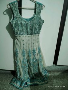 Elegant Embellished Ethnic Gown