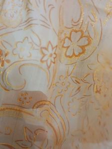 Used Once Dupatta