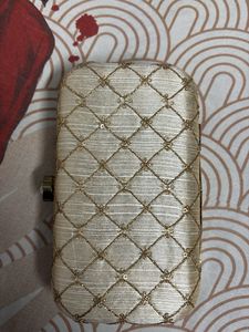 Elegant Women Clutch