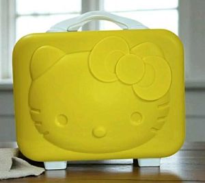 Hello Kitty Travel Case
