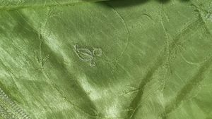 Parrot Green Saree