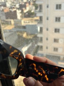 Zara Sunglasses
