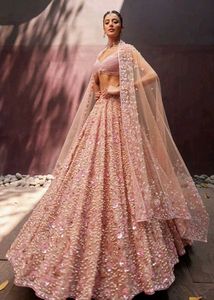 Coral Net Beautiful Lehenga