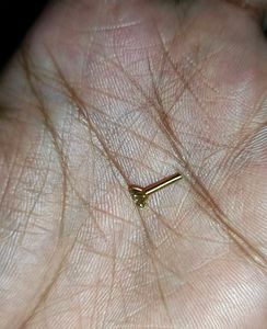 Nose Pin