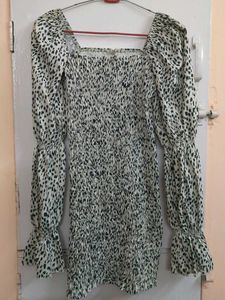 Animal Print Long Sleeve Dress