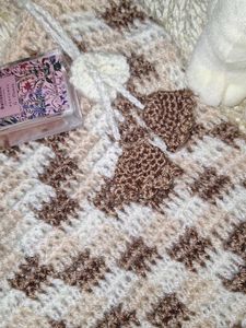 Cute Pinteresty Crochet TOTE BAG