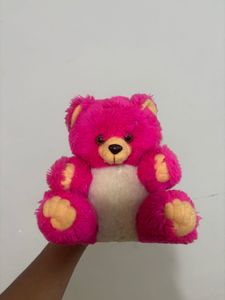 Pink Teddy Bear