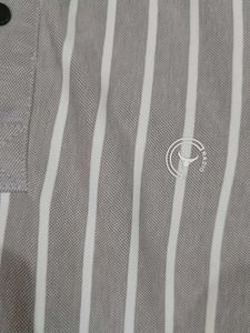 Striped Polo Shirt