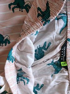 Dinosaur Print Pajama Pants