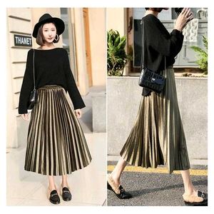 Korean Style Shimmery Pleated Skirt
