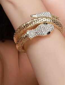 Snake head bracelet