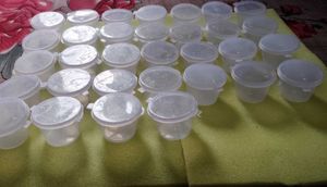 32 Small Plastic Containers with Lids