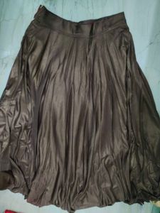 Stunning Bronze Indian Gown