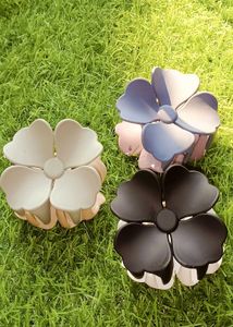 Korean Mate Hair Claw Pack Of 3