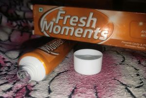Fresh Moments Herbal Ayurvedic Toothpaste