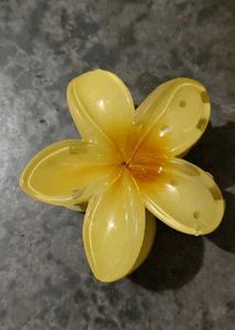 Floral Hair Clips (Pack Of 2)