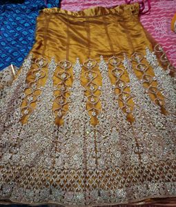 Lehenga And knee length tail Cut top