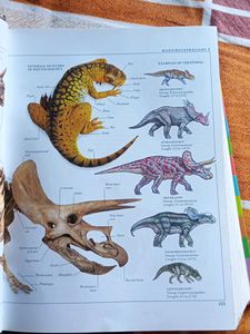 Visual Dictionary