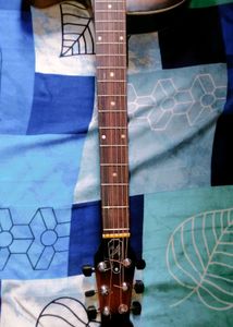 Brand New SIGNATURE Guitar 🎸 😍