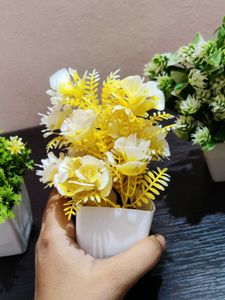 Artificial Plant Decor combo of 5 pots