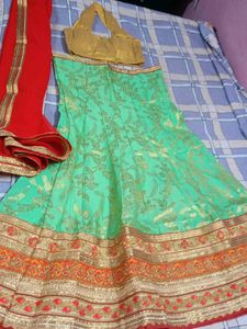 Elegant Lehenga Choli Set