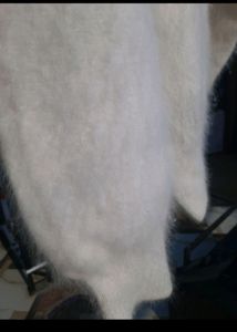 White Fur Sweater