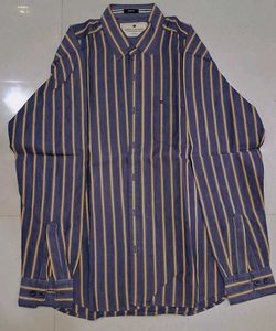 Striped formal shirt