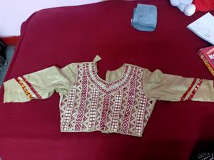 Ethnic Skirt blouse with Detailed Border