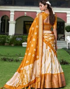 Gorgeous Lehenga Choli