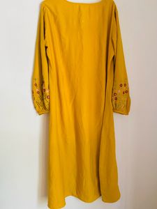 ❌No Coins, Only Cash❌A Beautiful Embroidered Dress
