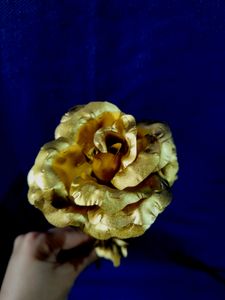 Golden Rose Show Piece