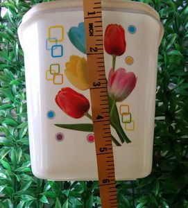 3 In One Combo Container/ Large Medium Small